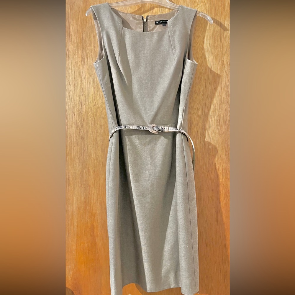 Antonio Melani Dress